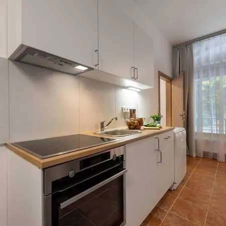 Apartmán New Flat, Jachymov