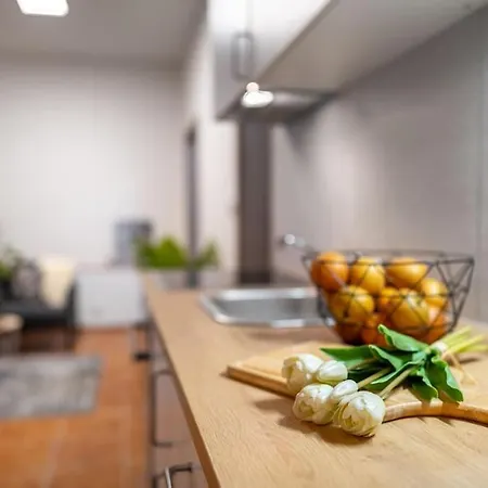 New Flat, Jachymov Karlsbad