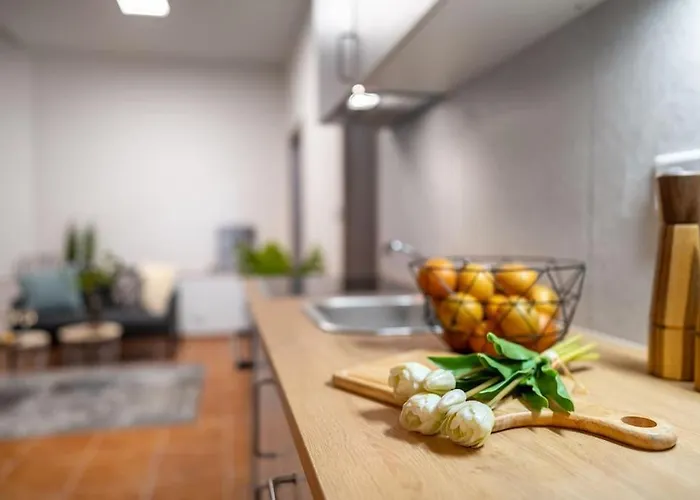 New Flat, Jachymov Karlsbad