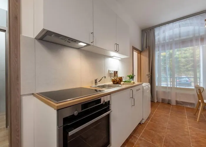 Apartment New Flat, Jachymov